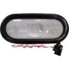 Peterson 416K Oval Sealed Clear Incandescent Back-Up Light Kit -Camcos Shop 18157